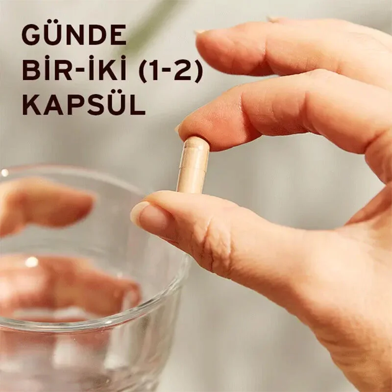 Simplifiez votre apport en champignons Reishi Shiitake Maita 3