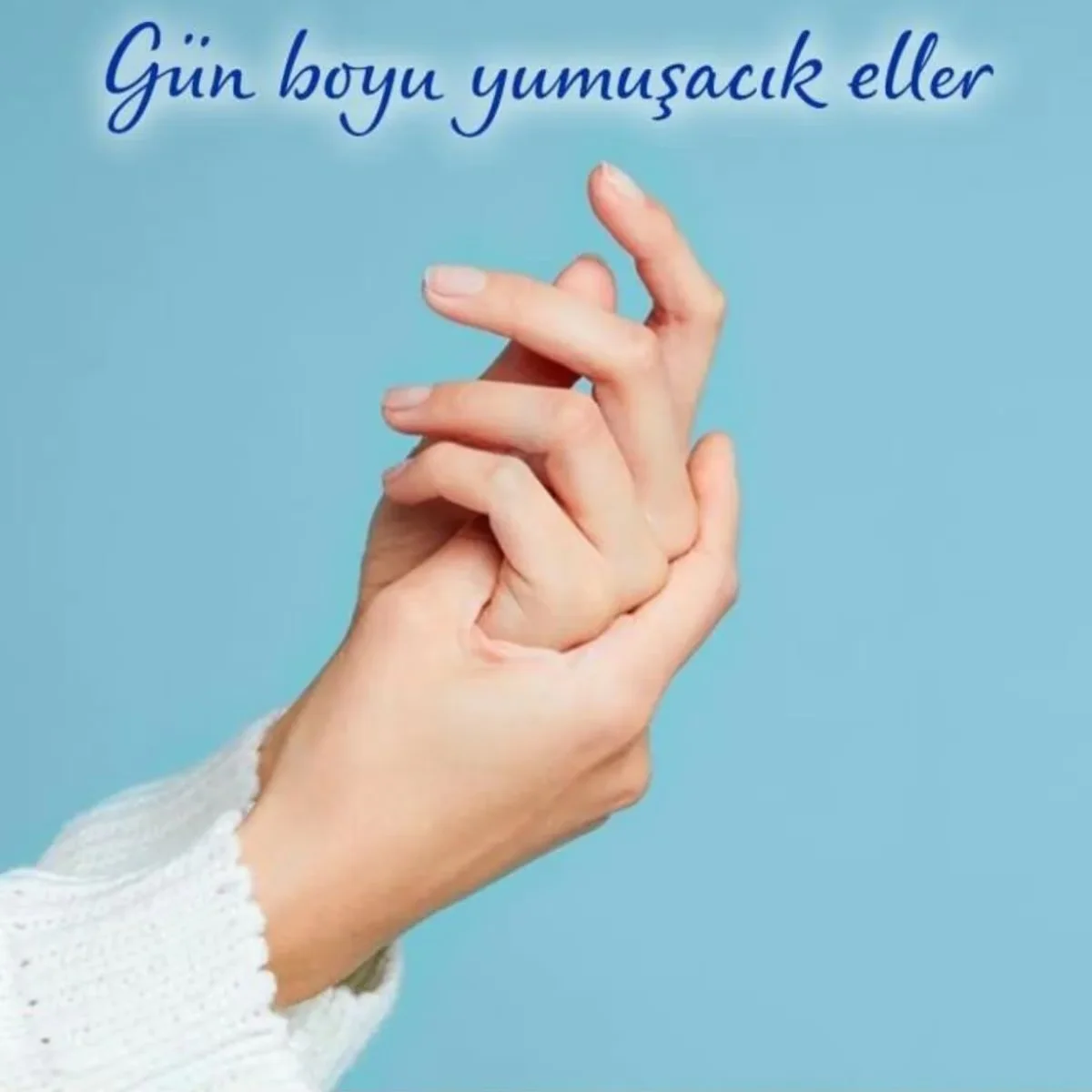 Nourrit, Adoucit & Protège : Crème Nivea Argousier 75ml 3