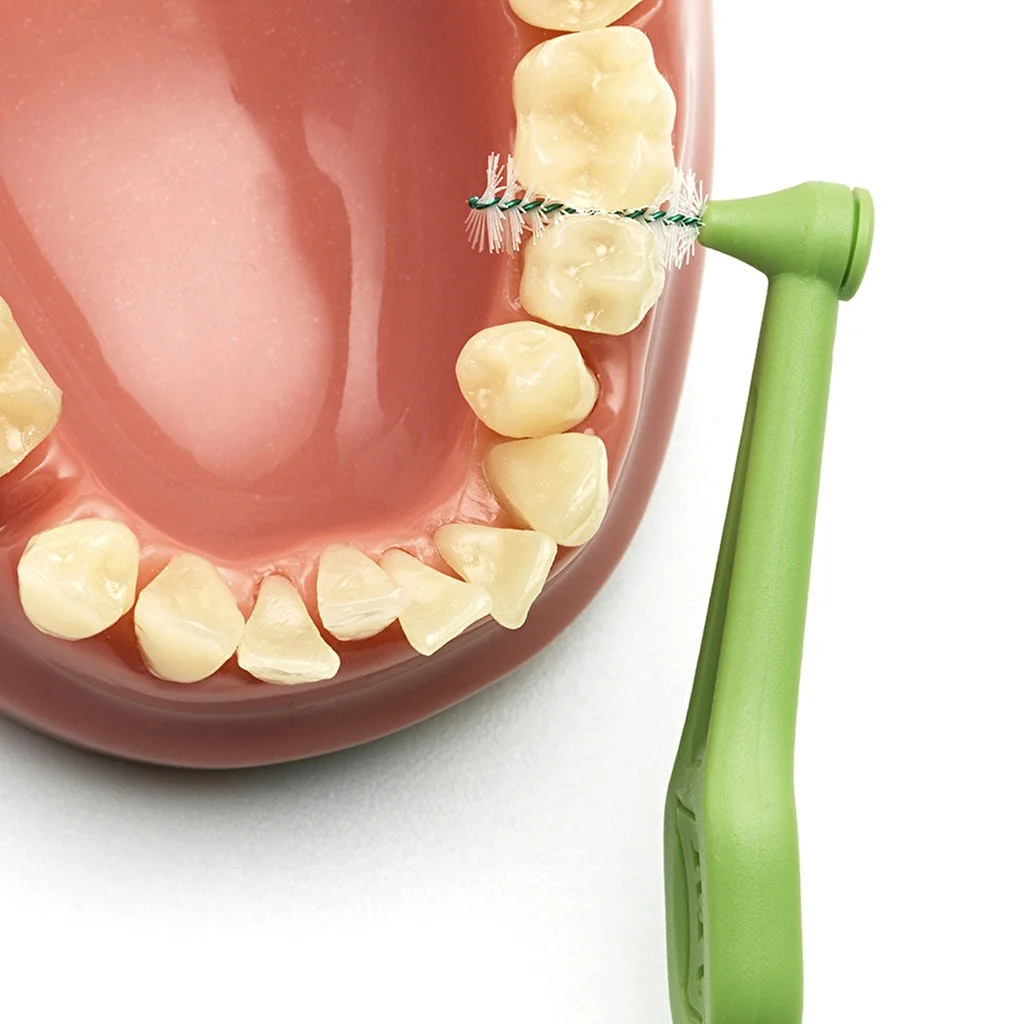 Obtenez des gencives et des dents saines avec TePe Angle 6