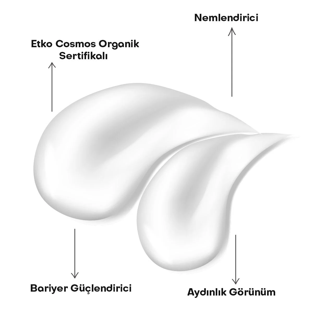 كريم مرطب سيكافيرا بروبيوتيك العضوي 50 مل من أولز بيوكوزمتيكس Alls Biocosmetics 3