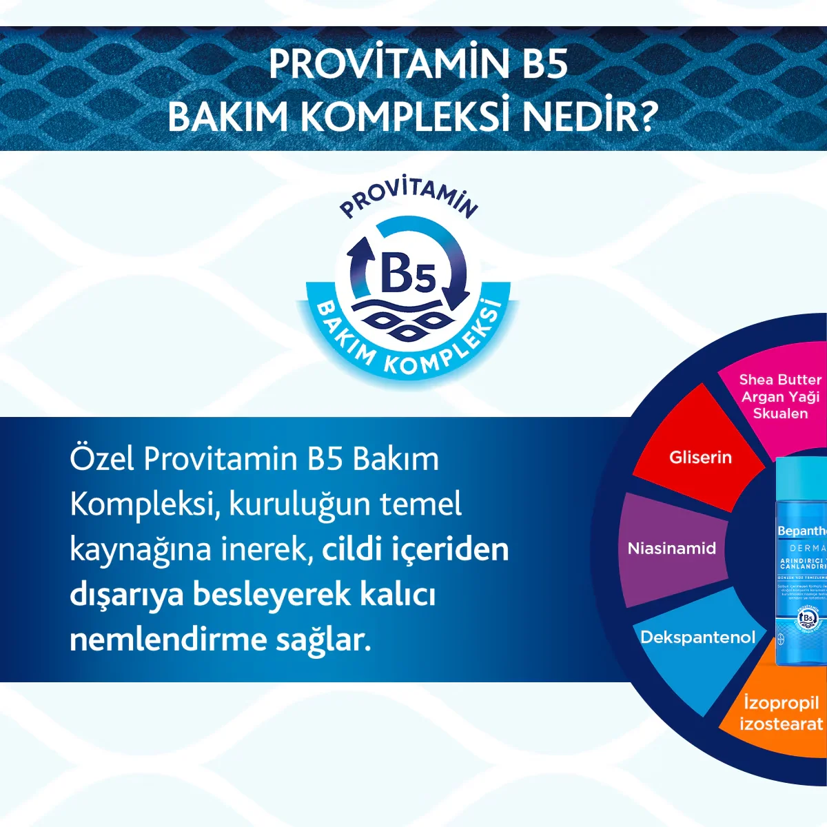 Bepanthol لوشن بيبانثول ديرما المرطب المكثف اليومي للجسم 200 مل 5