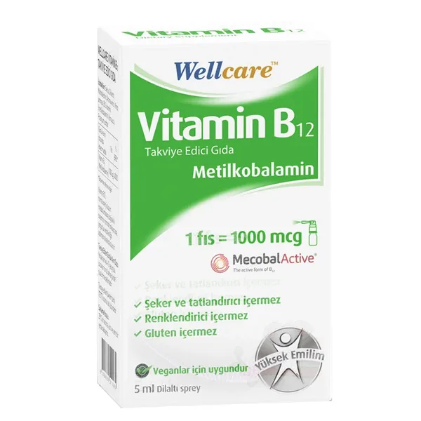 Wellcare Vitamin B12 Food Supplement 5ml
