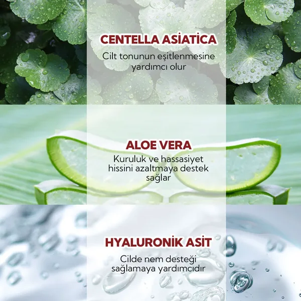 كريم مرطب سيكافيرا بروبيوتيك العضوي 50 مل من أولز بيوكوزمتيكس Alls Biocosmetics 4