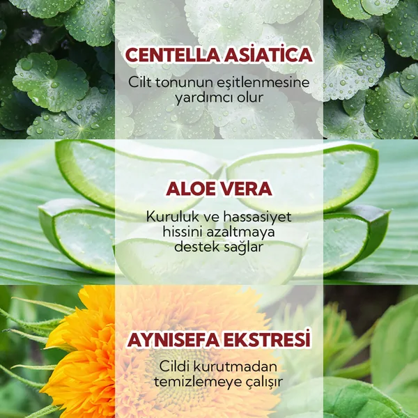 تونك سيكافيرا البروبيوتيك العضوي 100 مل من أولز بيوكوزمتيكس Alls Biocosmetics 4