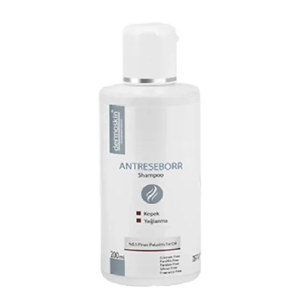 Dermoskin Antiseborrhoisches Shampoo 200ml