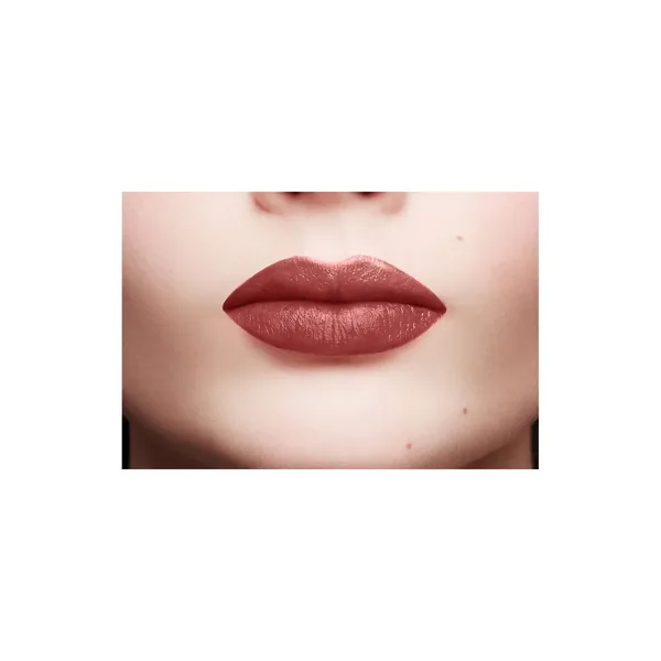 L'Oréal Paris Color Riche Satin Lippenstift 107 Seine Sunset 5
