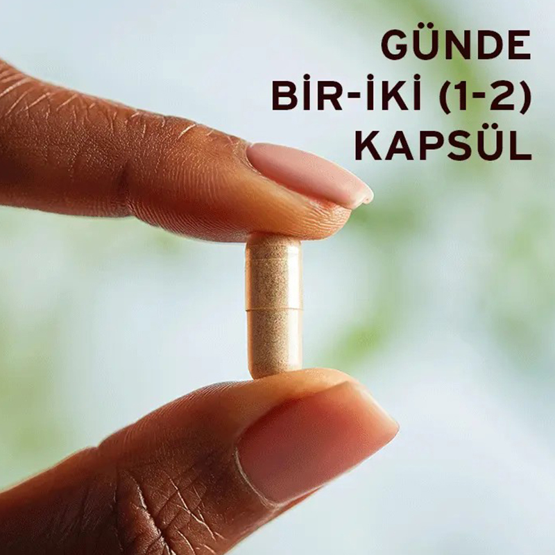 Soutenez votre bien-être avec Solgar Ginkgo Biloba 2
