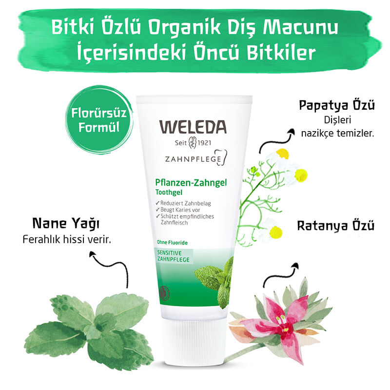 Obtenez des dents saines et une haleine fraîche naturellemen 4