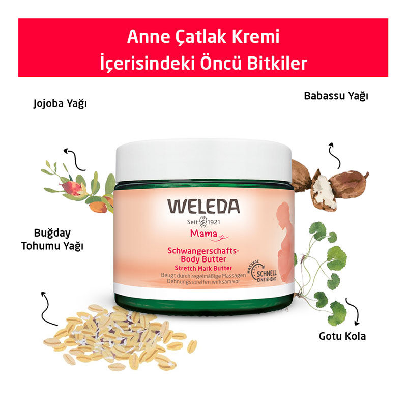 Adoucissez et hydratez votre peau avec la Crème Anti-Vergetu 4