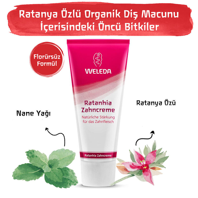 Obtenez des gencives saines et une haleine fraîche naturelle 4